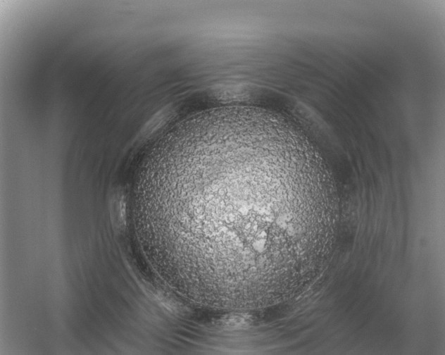 X0000058790124200510071646