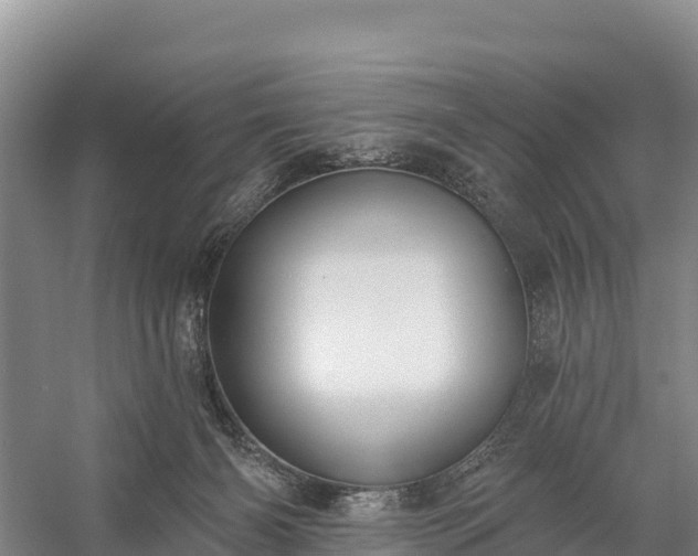 X0000058790126200510071645