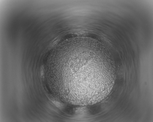 X0000058790132200510071645