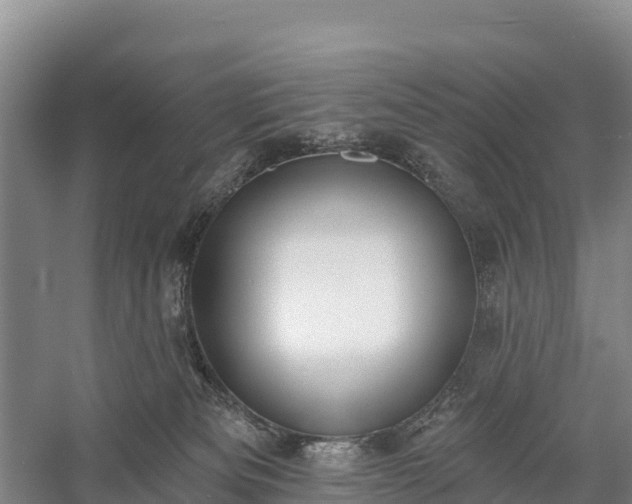 X0000058790133200510071645