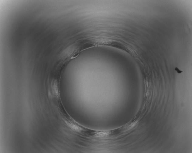 X0000058790143200510071645