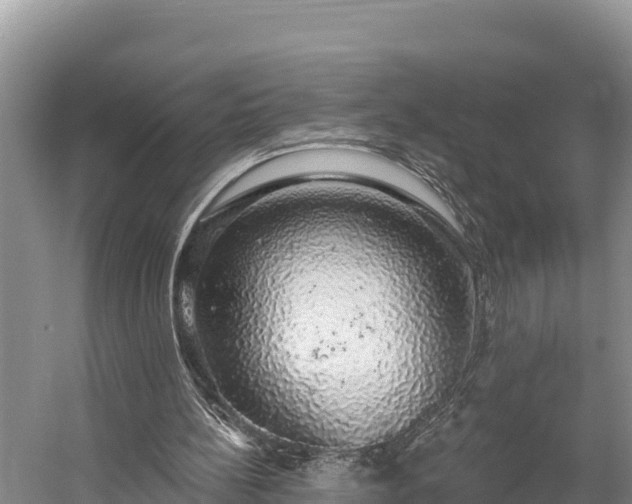 X0000058790148200510071644