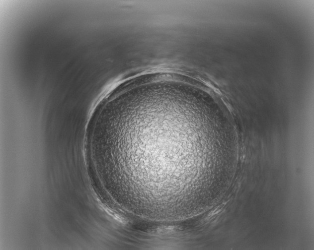 X0000058790152200510071644