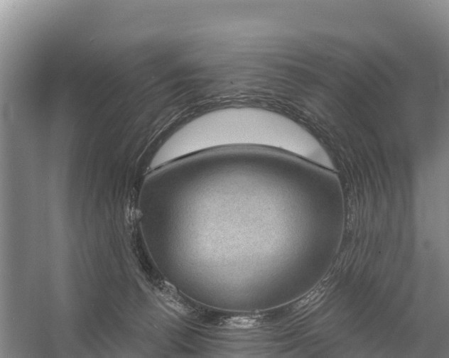 X0000058790176200510071645