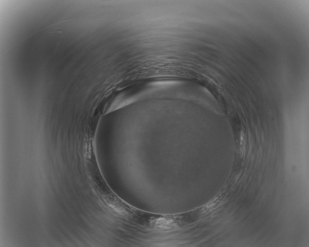 X0000058790180200510071645