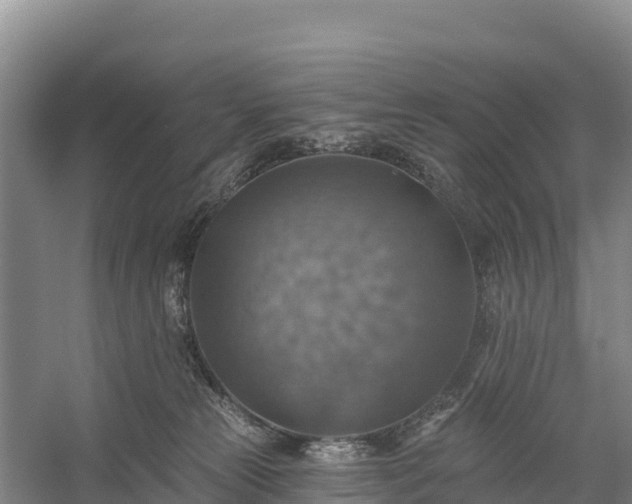 X0000058790181200510071645