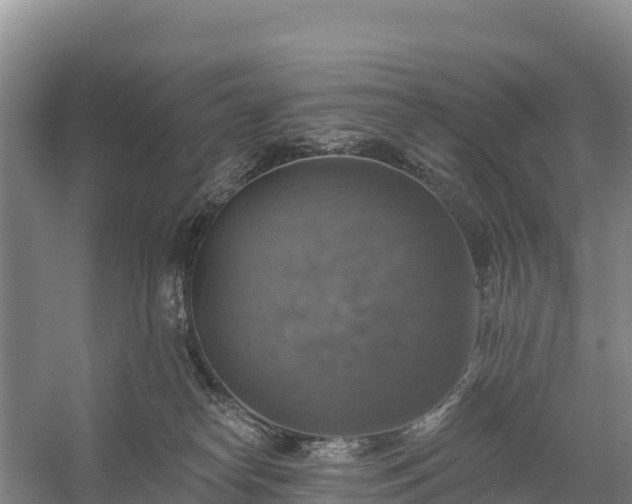 X0000058790182200510071645