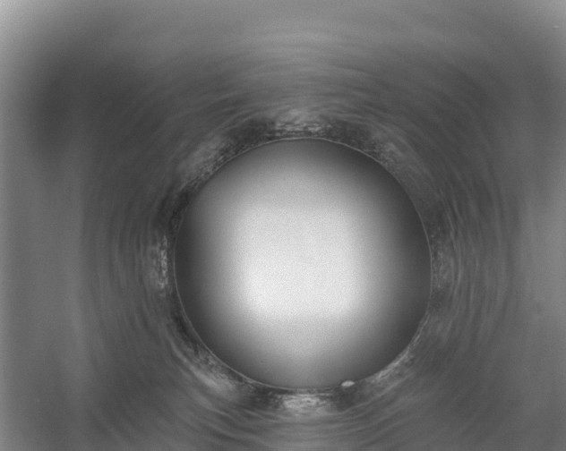 X0000058790183200510071645