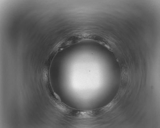 X0000058790188200510071645
