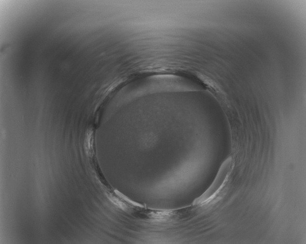X0000058790192200510071645