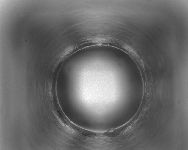 X0000058790201200510071644