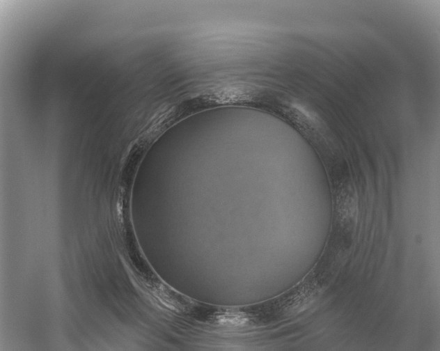 X0000058790214200510071644