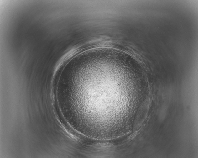 X0000058790245200510071643