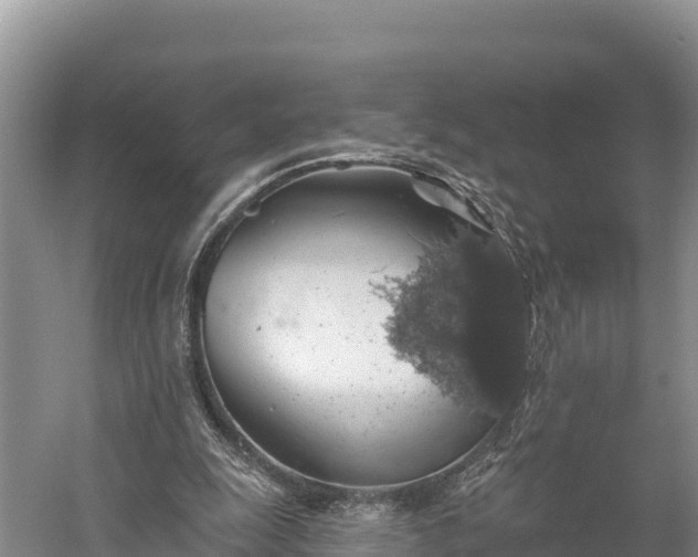 X0000058790247200510071643