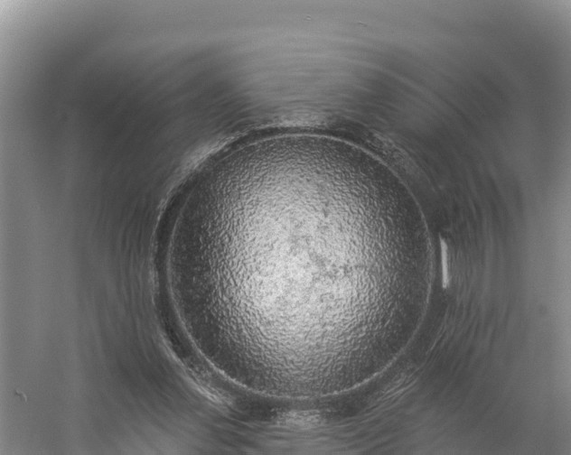 X0000058790252200510071643