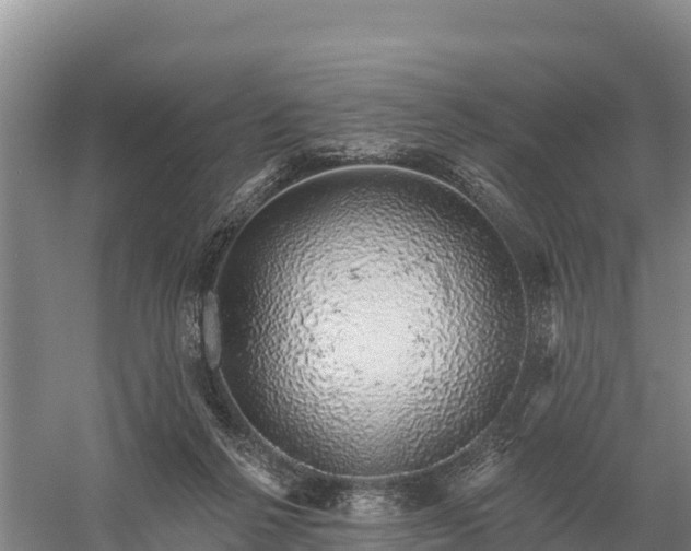 X0000058790264200510071643