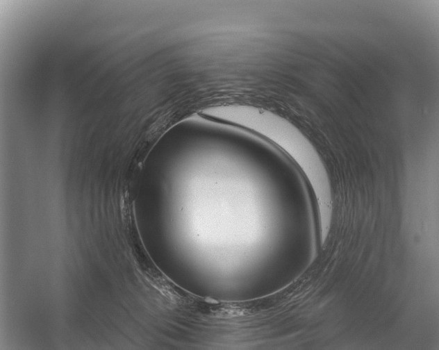 X0000058790276200510071643