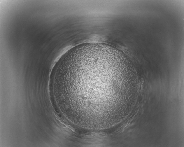 X0000058790292200510071643