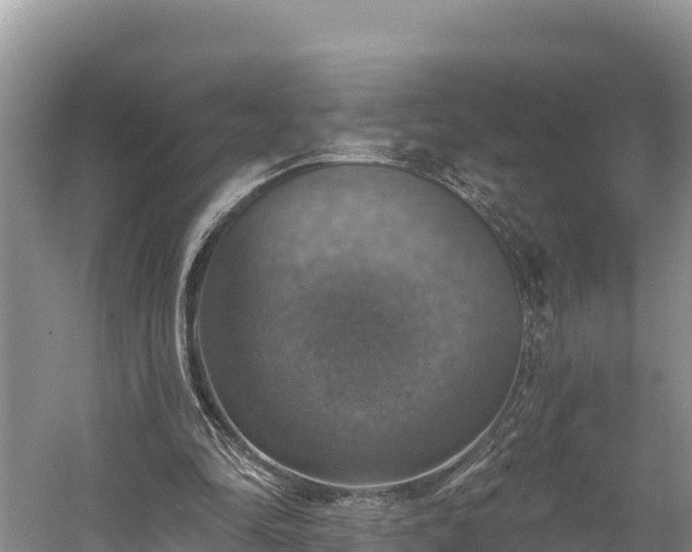 X0000058790294200510071643
