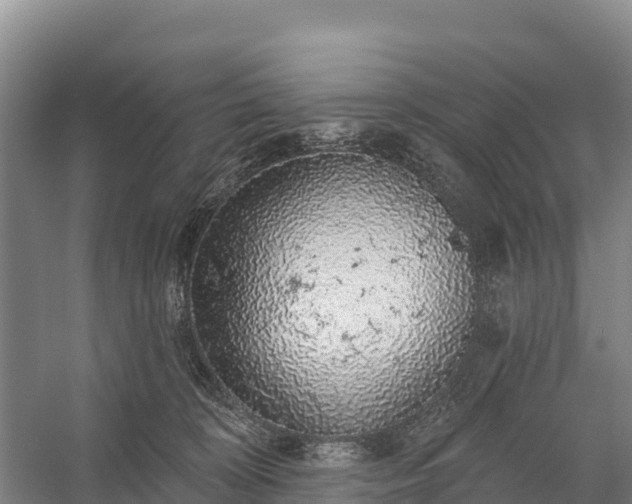 X0000058790324200510071642