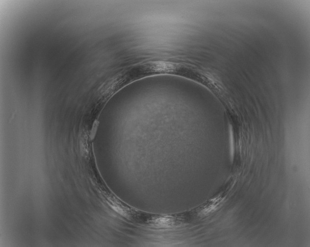X0000058790325200510071642