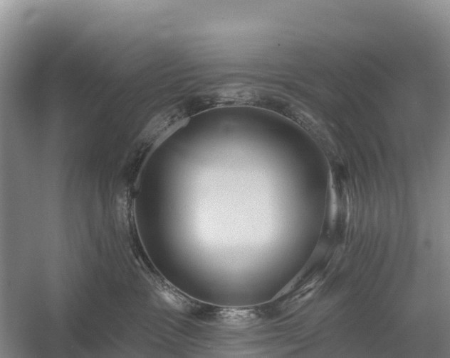 X0000058790333200510071642