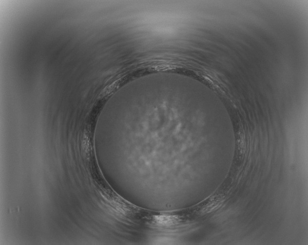 X0000058790371200510071642