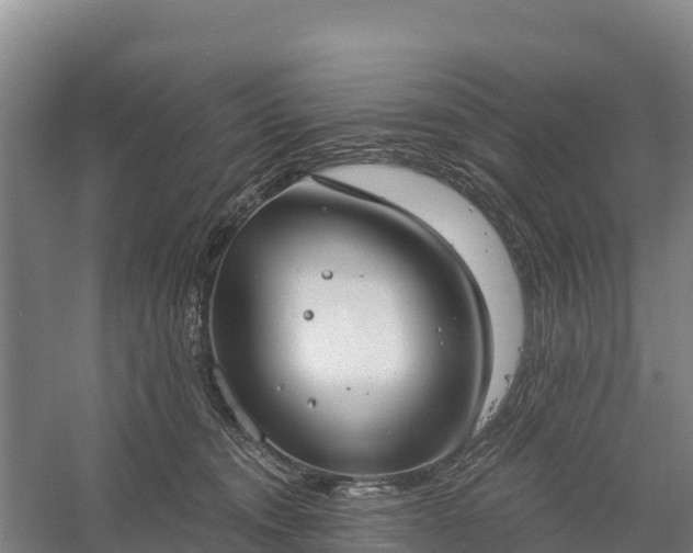 X0000058790372200510071642