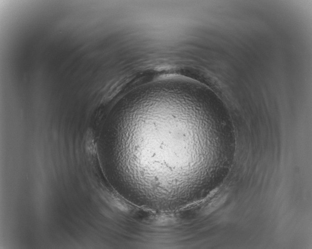 X0000058790384200510071642