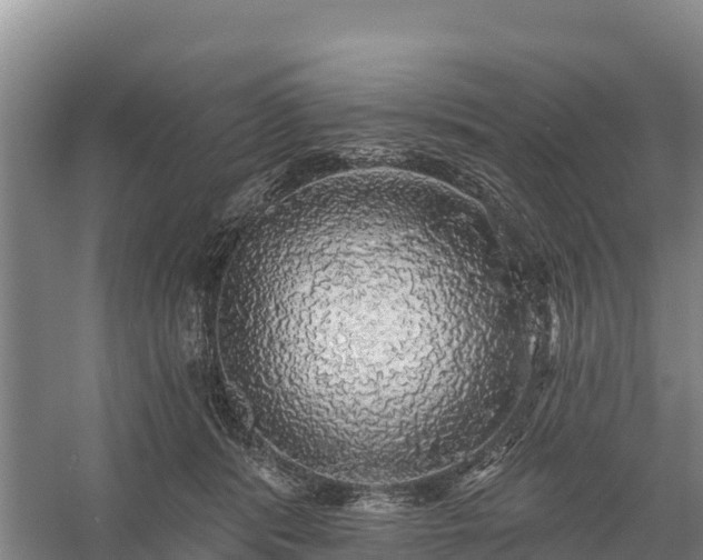 X0000058790416200510071641