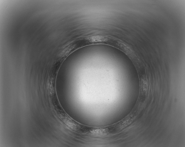 X0000058790422200510071640