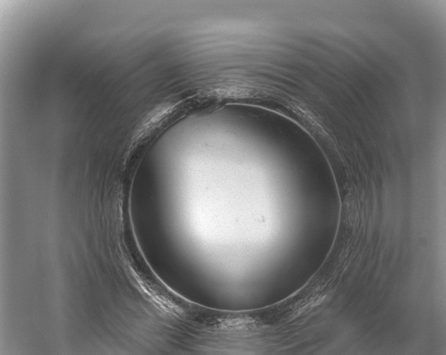 X0000058790446200510071640