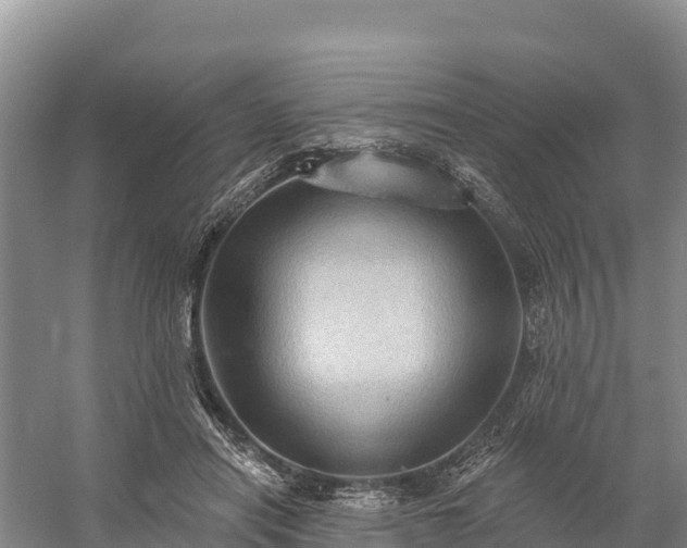 X0000058790454200510071640