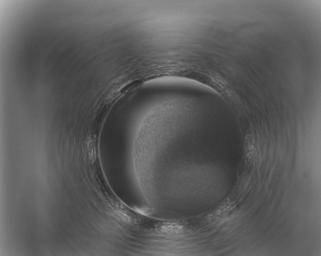 X0000058790471200510071640