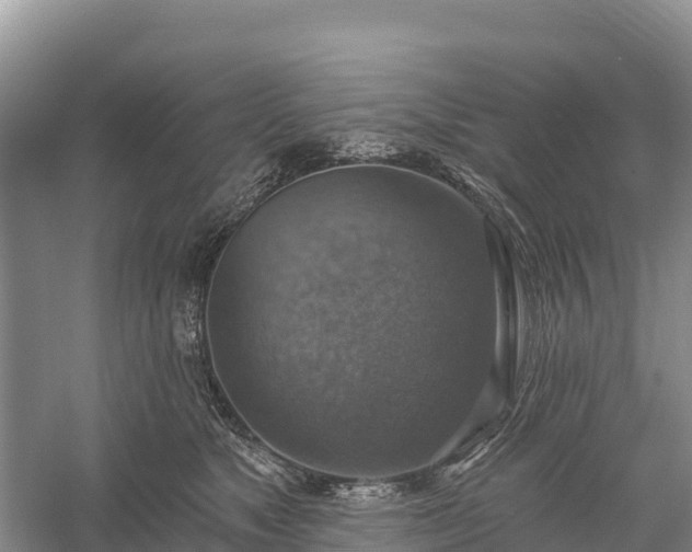 X0000058790517200510071639