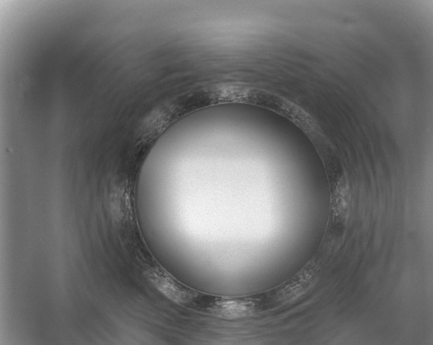 X0000058790522200510071639