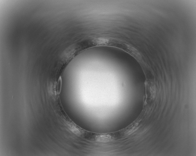 X0000058790525200510071639