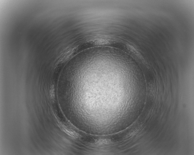 X0000058790549200510071638