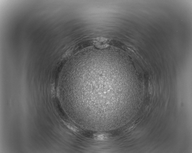 X0000058790564200510071638