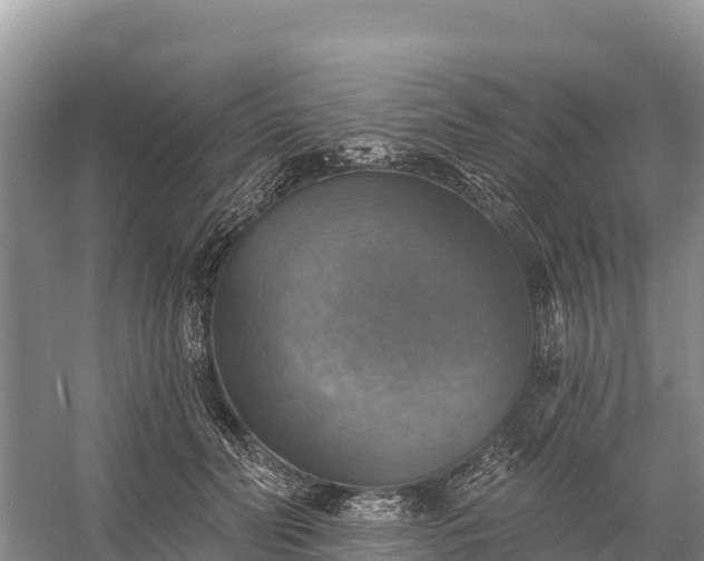X0000058790606200510071637