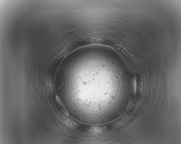 X0000058790613200510071637