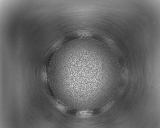 X0000058790622200510071637