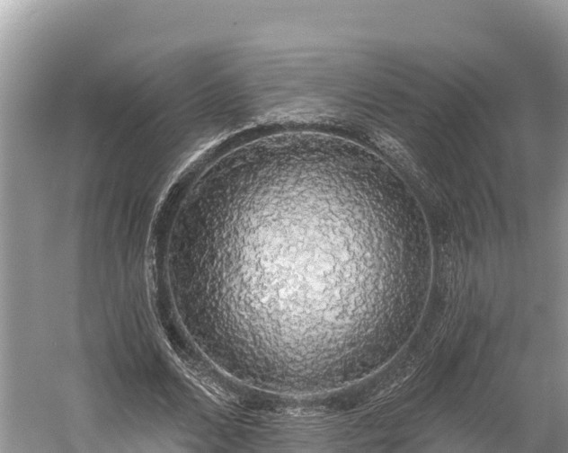 X0000058790680200510071636