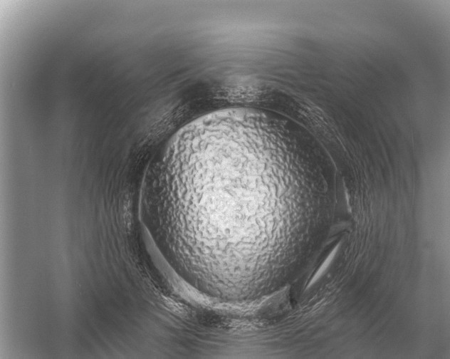 X0000058790697200510071636