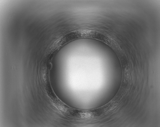 X0000058790698200510071636