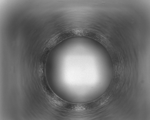 X0000058790702200510071636