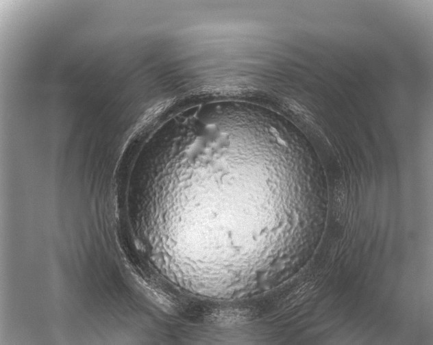 X0000058790734200510071635