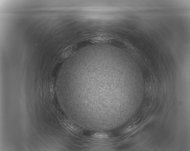 X0000058790749200510071635