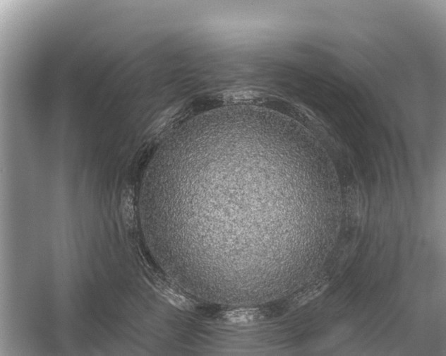 X0000058790761200510071635