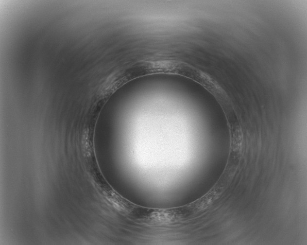 X0000058790764200510071635